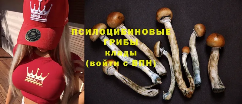 Галлюциногенные грибы Magic Shrooms  мега ONION  Калачинск 